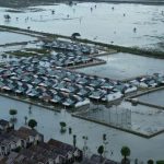 Banjir Rendam 5.168 Hektare Sawah di Bekasi, Panen Terancam