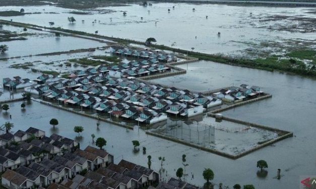Banjir Rendam 5.168 Hektare Sawah di Bekasi, Panen Terancam