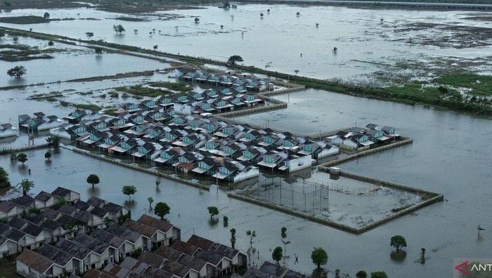 Banjir Rendam 5.168 Hektare Sawah di Bekasi, Panen Terancam