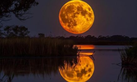 Gerhana Bulan Total 3 Maret 2026: Fenomena Blood Moon