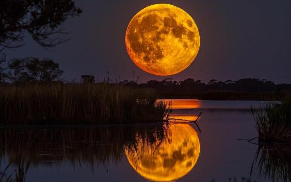 Gerhana Bulan Total 3 Maret 2026: Fenomena Blood Moon