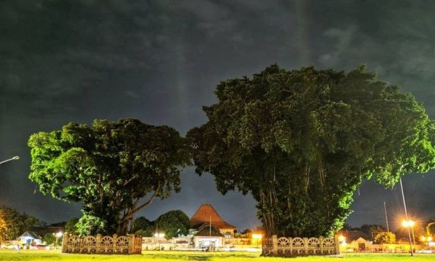 Wisata Yogyakarta Hits: Alun-Alun Kidul & Kuliner Pasar Ngasem