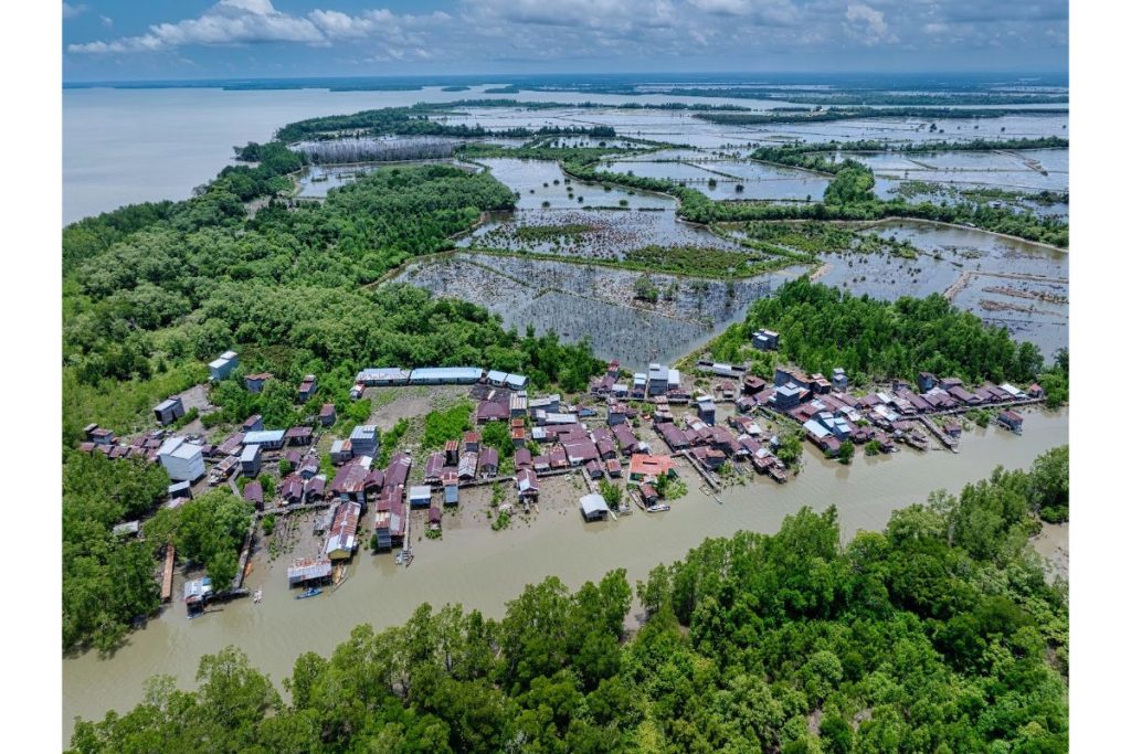Kawasan hutan mangrove di Kalimantan Utara yang direhabilitasi melalui pendekatan ekologis untuk menjaga lingkungan dan mendukung ekonomi masyarakat pesisir.