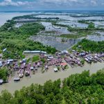 Rehabilitasi Mangrove Jadi Kunci Jaga Pesisir dan Ekonomi Warga