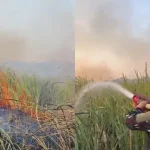 Karhutla Taman Nasional Way Kambas Berdampak pada 802,4 Hektare Lahan