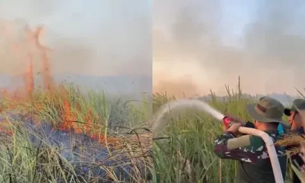 Karhutla Taman Nasional Way Kambas Berdampak pada 802,4 Hektare Lahan