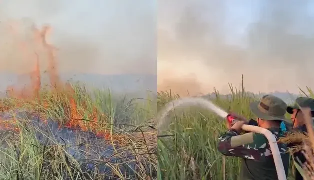 Karhutla Taman Nasional Way Kambas Berdampak pada 802,4 Hektare Lahan