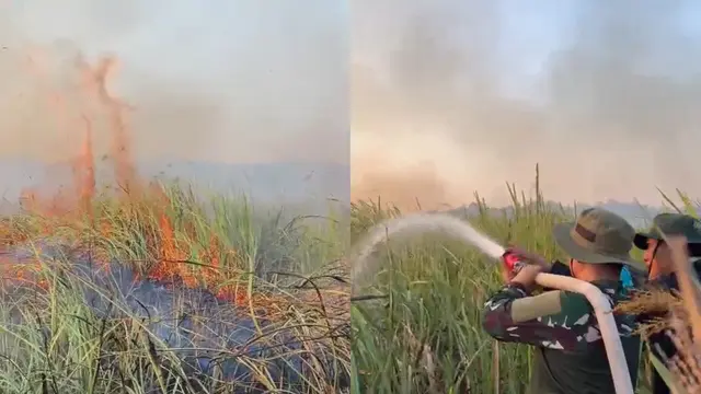 Tim gabungan menangani karhutla di Taman Nasional Way Kambas Lampung Timur seluas 802,4 hektare.