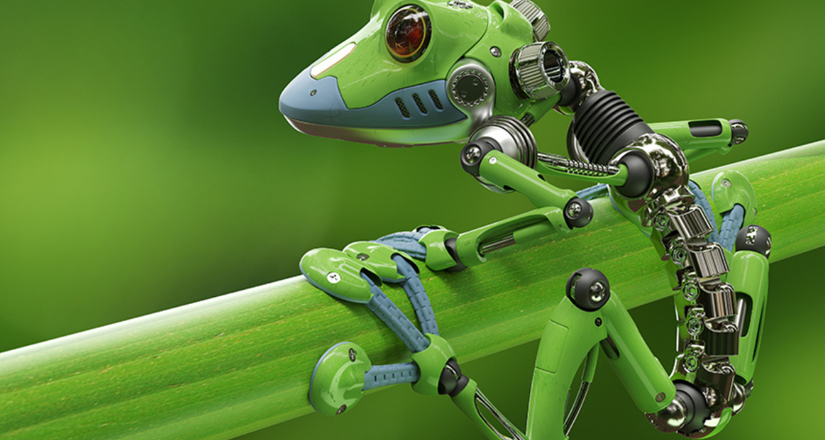 Peneliti China Ciptakan Robot dari Otot Katak yang Bisa Berenang