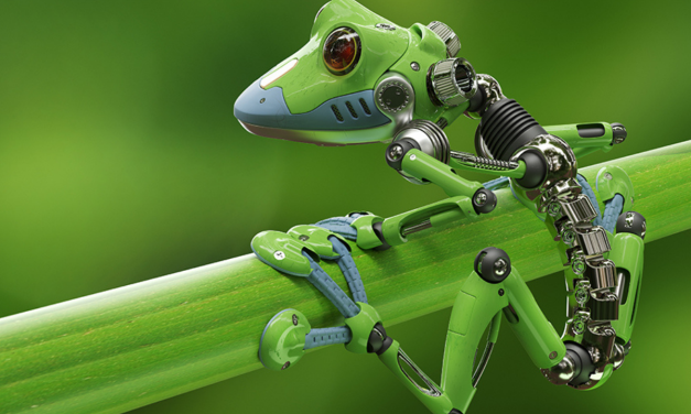 Peneliti China Ciptakan Robot dari Otot Katak yang Bisa Berenang
